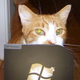 Illustration for article titled Windows 7 Launch Parties Gallery